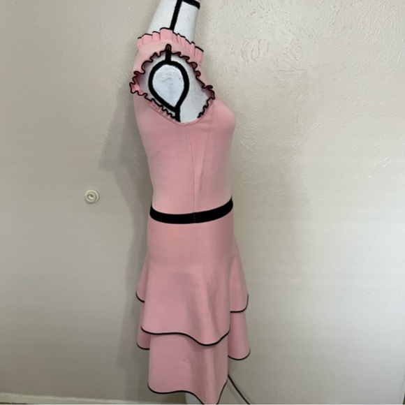 Parker Ryker Ballerina Pink Ruffle Knit Sleeveless Dress Womens Size Medium - Picture 4 of 13